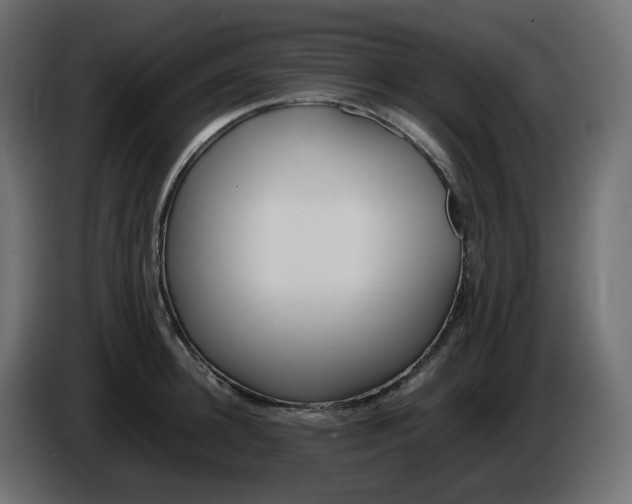 X0000086340948200704131740