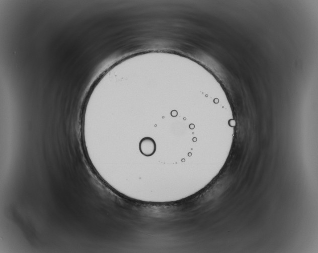 X0000086340950200704131740