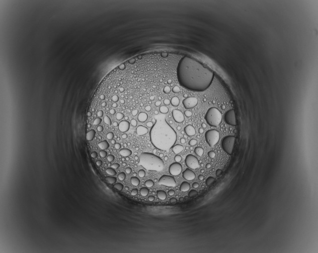 X0000086340953200704131740