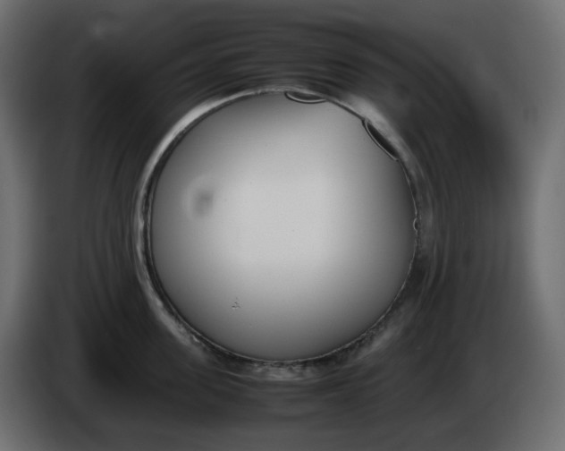 X0000086340955200704131740