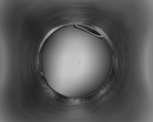 X0000086340956200704131740