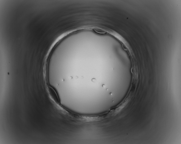 X0000086340958200704131740