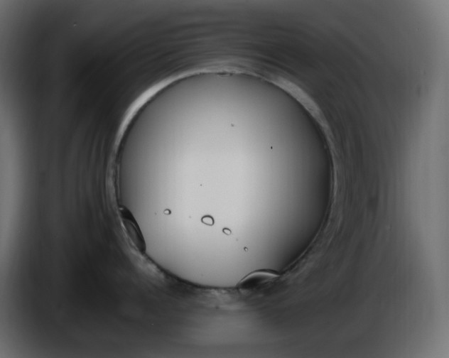 X0000086340960200704131740