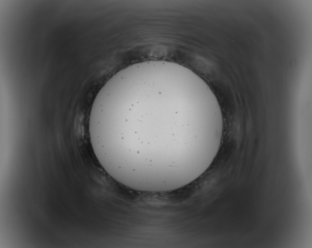 X0000086340962200704131740