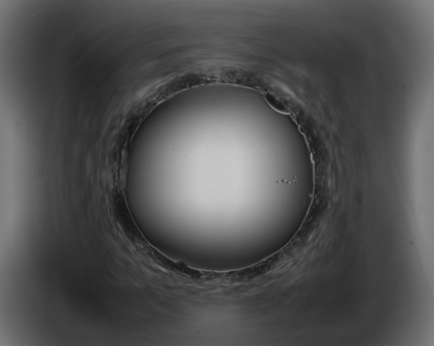 X0000086340965200704131740