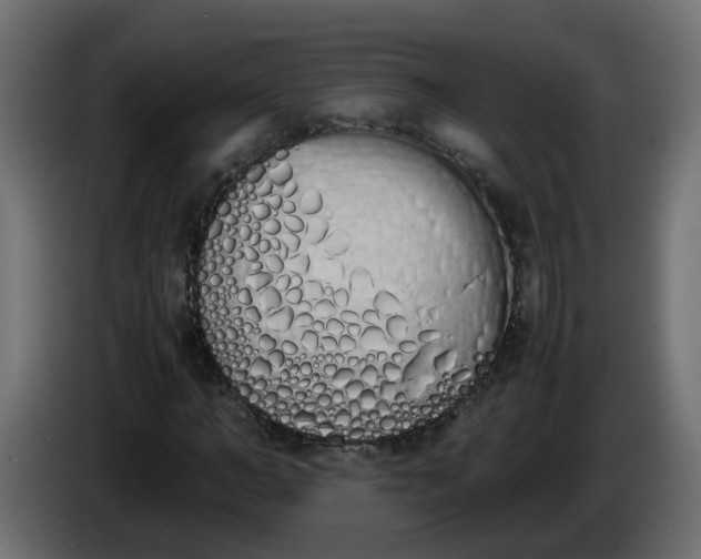 X0000086340966200704131740
