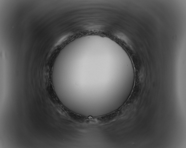 X0000086340968200704131740