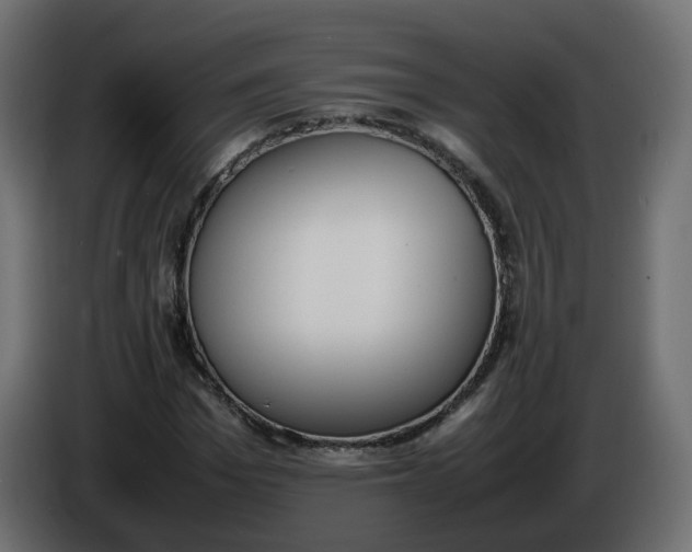 X0000086340969200704131740