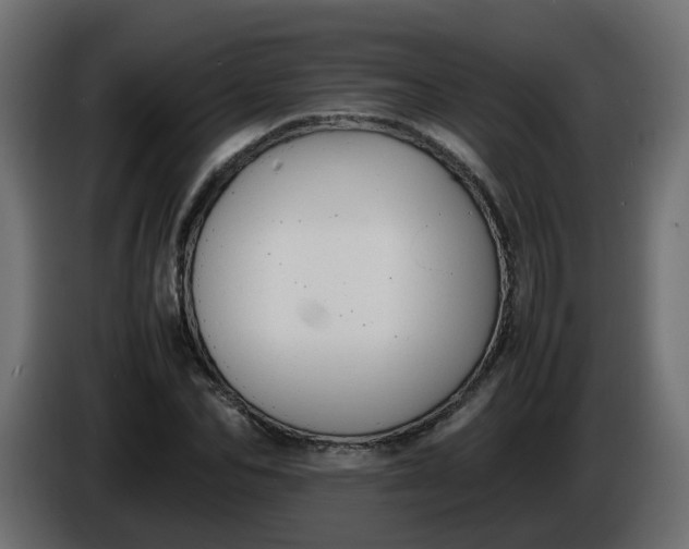 X0000086340974200704131739