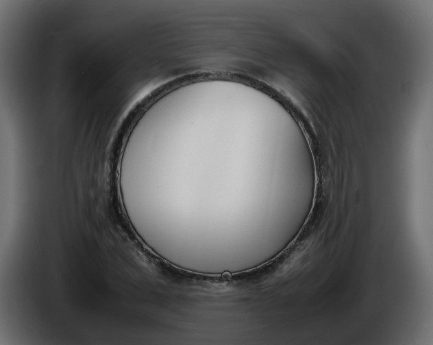 X0000086340975200704131739
