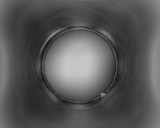 X0000086340976200704131739