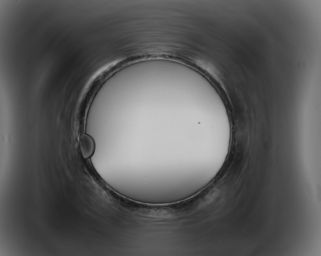 X0000086340979200704131739