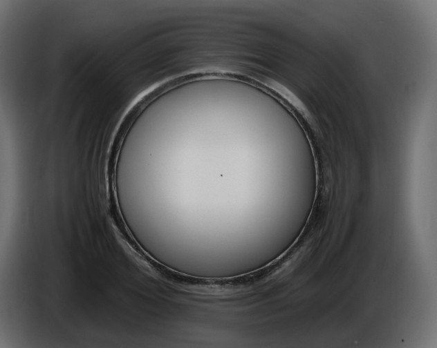 X0000086340980200704131739