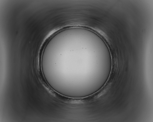 X0000086340982200704131739