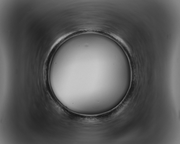 X0000086340983200704131739