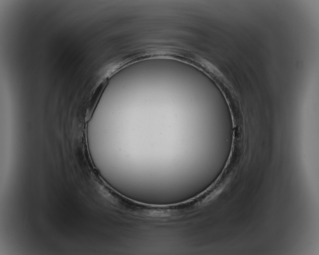 X0000086340985200704131739