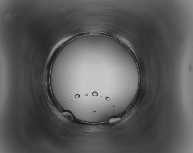 X0000086340987200704131739