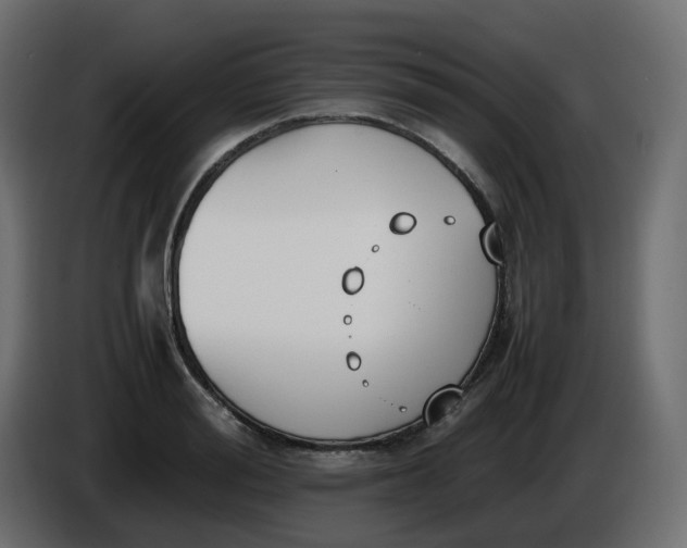 X0000086340988200704131739
