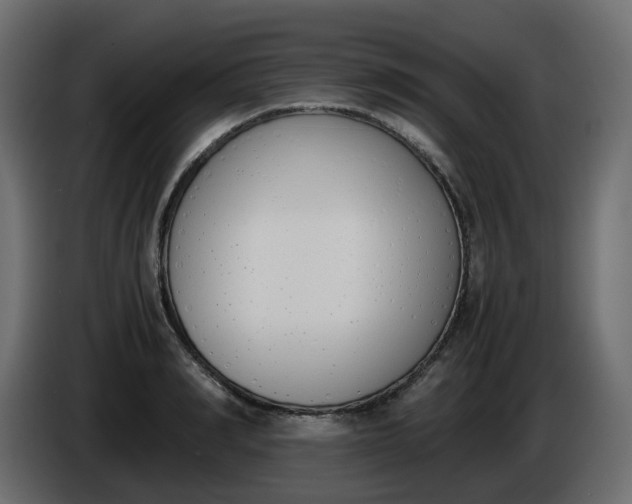 X0000086340990200704131739