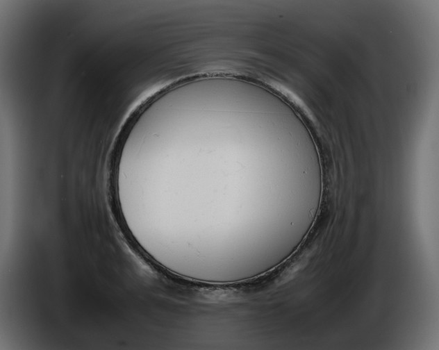 X0000086340991200704131739