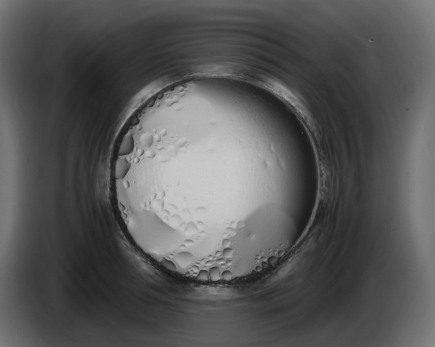 X0000086340994200704131739