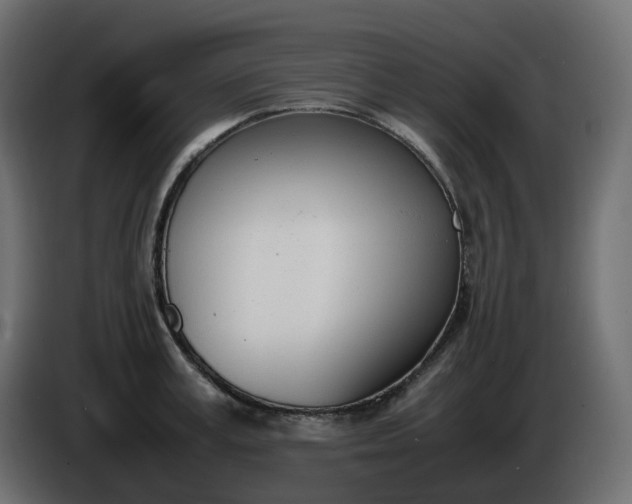 X0000086340995200704131739