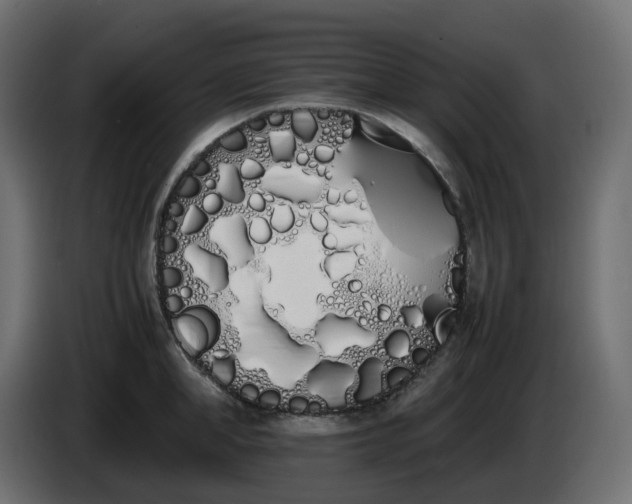 X0000086340998200704131739