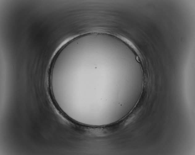 X0000086340999200704131739
