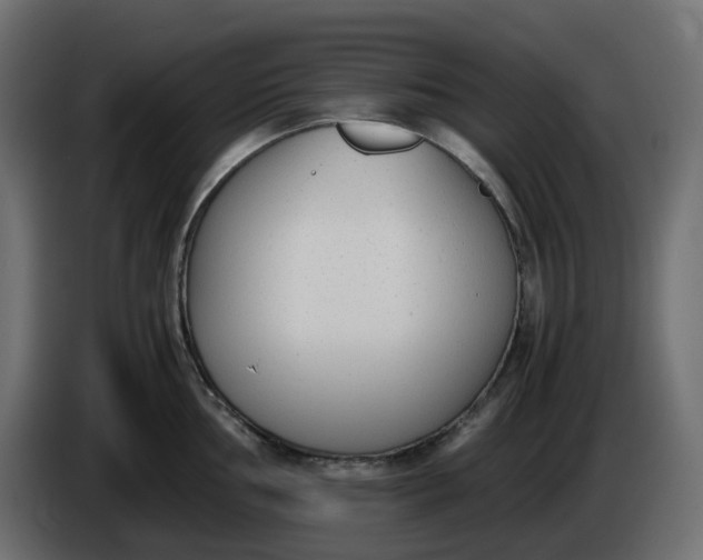 X0000086341002200704131739