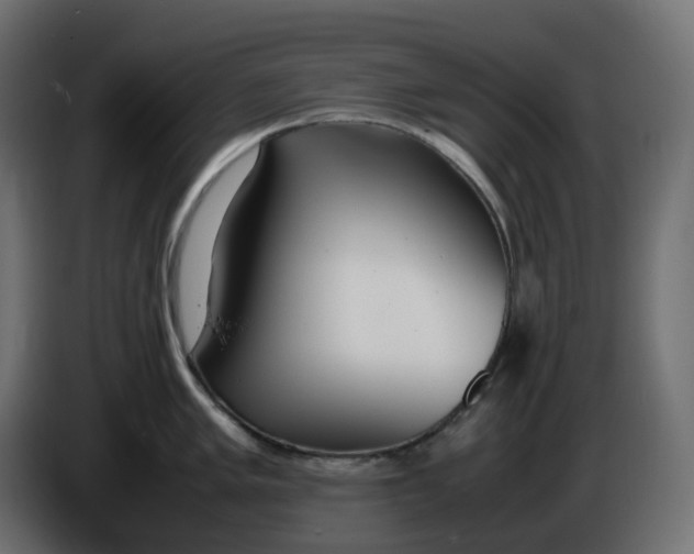 X0000086341005200704131739