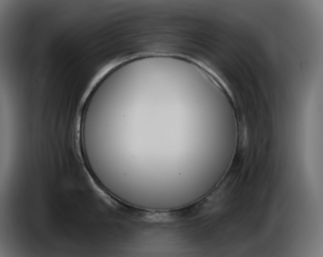 X0000086341006200704131739