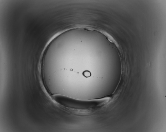 X0000086341007200704131739