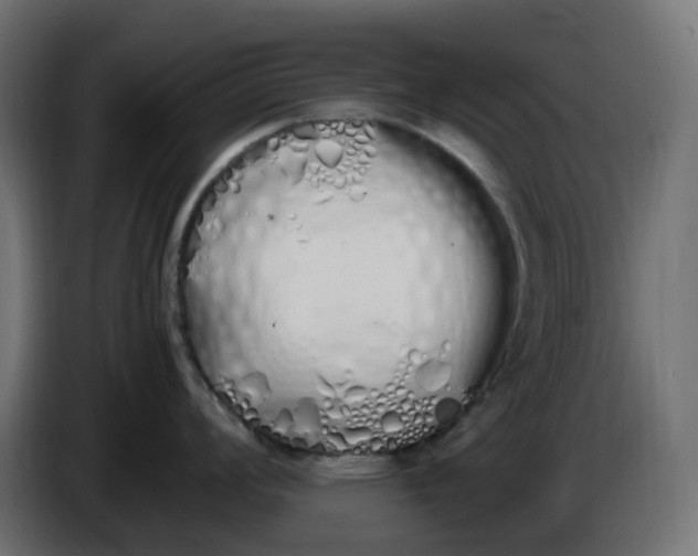 X0000086341008200704131739