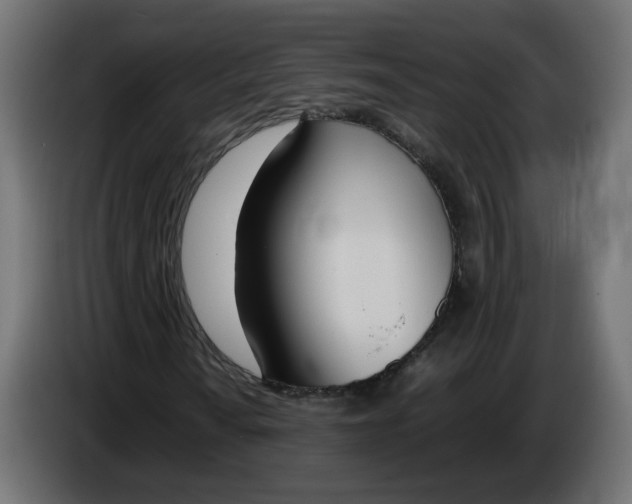 X0000086341010200704131738