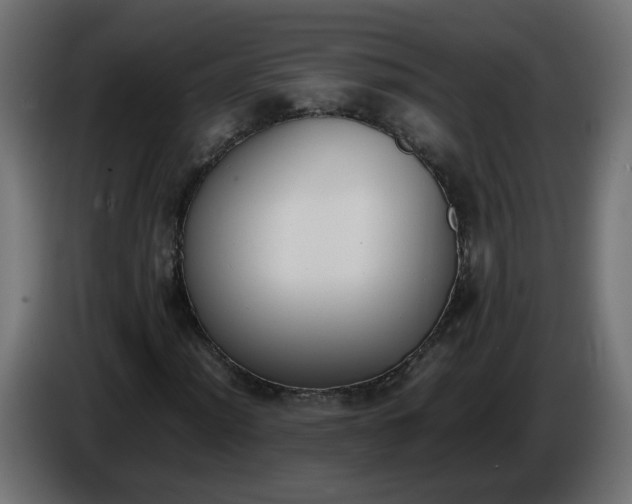 X0000086341012200704131738