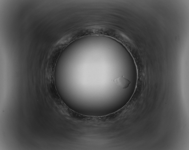 X0000086341014200704131738