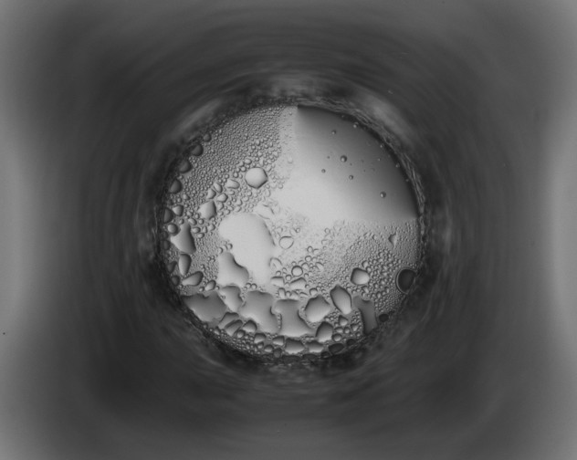 X0000086341015200704131738