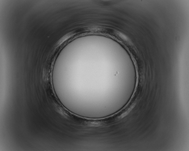 X0000086341017200704131738