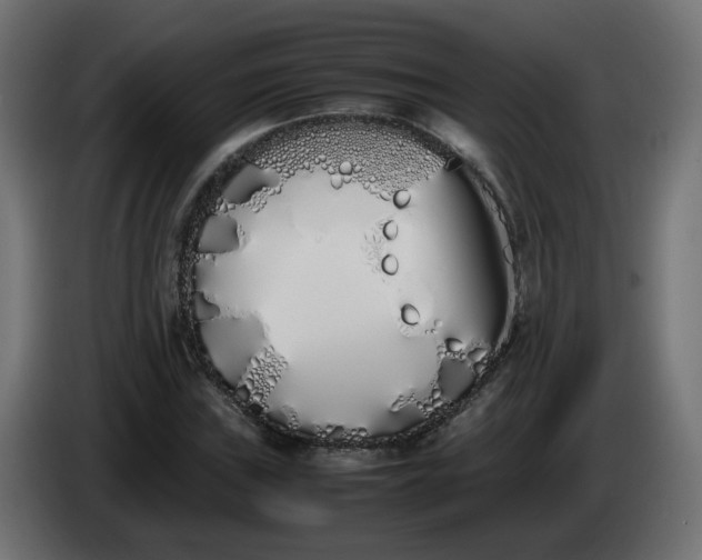 X0000086341019200704131738