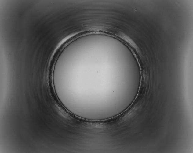 X0000086341020200704131738