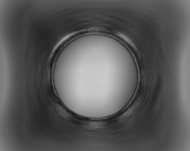 X0000086341021200704131738