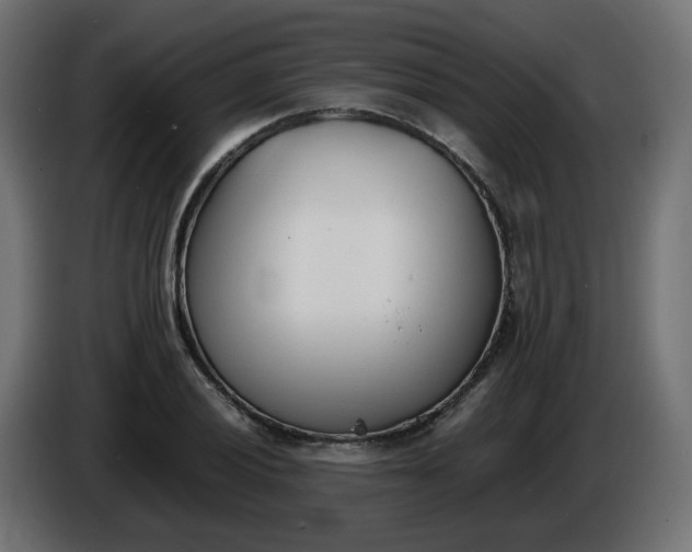 X0000086341028200704131739
