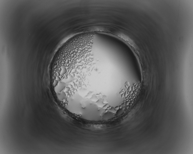 X0000086341031200704131739