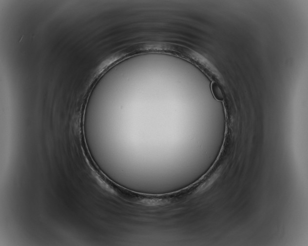 X0000086341033200704131739