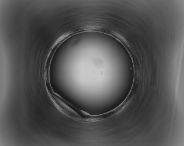 X0000086341034200704131739