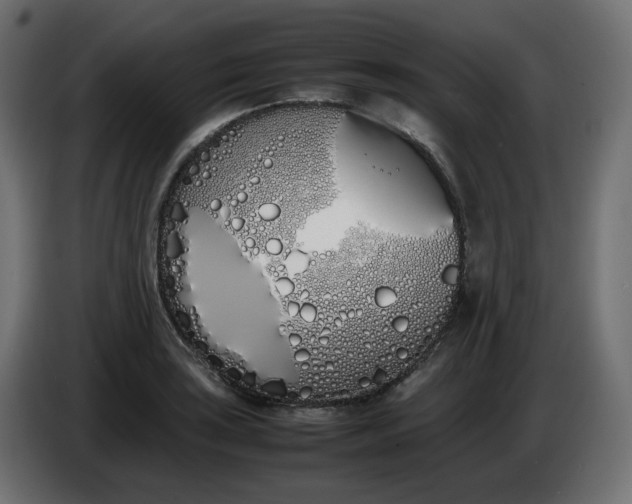 X0000086341035200704131739