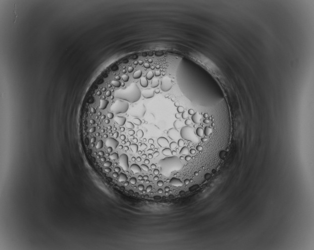 X0000086341039200704131739