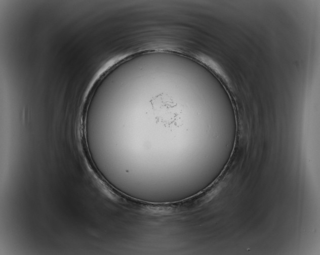 X0000086341040200704131739