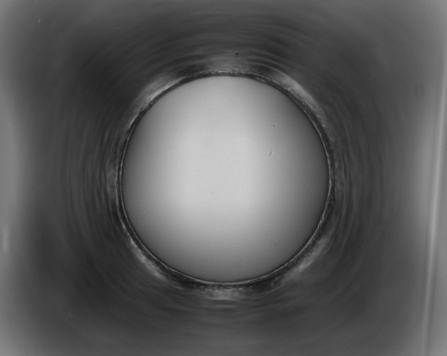 X0000086341041200704131739