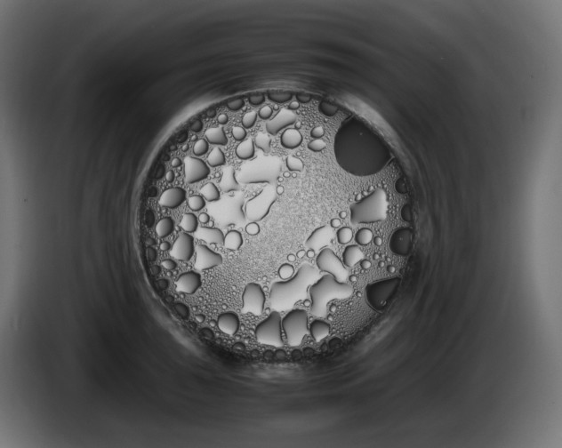 X0000086341043200704131739